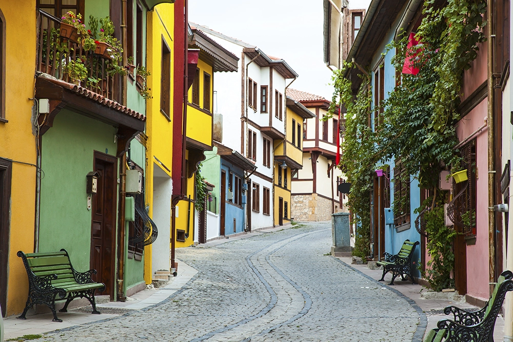 Odunpazarı Houses